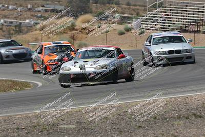 media/May-03-2025-Lucky Dog Racing (Sat) [[206de64b9d]]/Turn 4 B (1150am-130pm)/